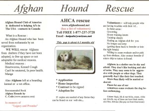 AHCA Rescue Flyer Pg 1